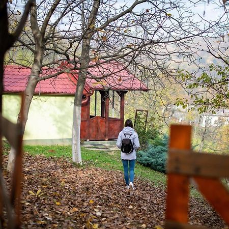 Holiday Home Nanin Konak 2 Vrdnik Luaran gambar