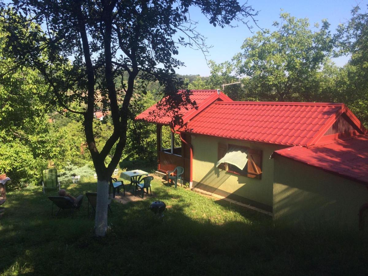Holiday Home Nanin Konak 2 Vrdnik Luaran gambar