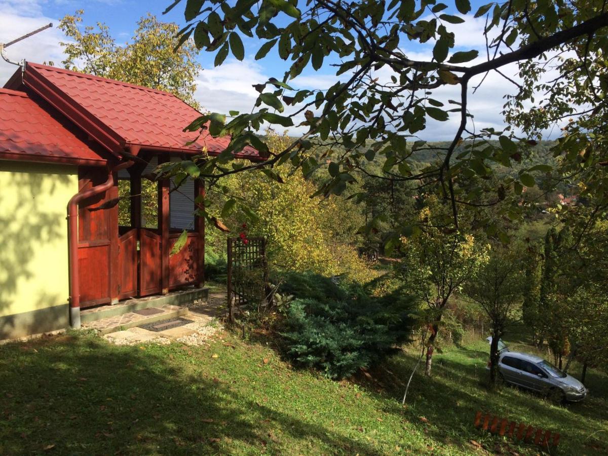 Holiday Home Nanin Konak 2 Vrdnik Luaran gambar