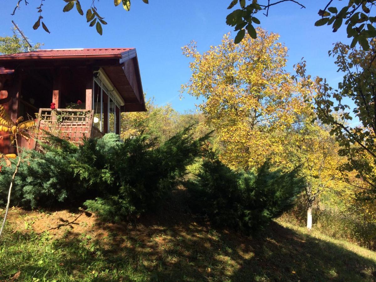 Holiday Home Nanin Konak 2 Vrdnik Luaran gambar