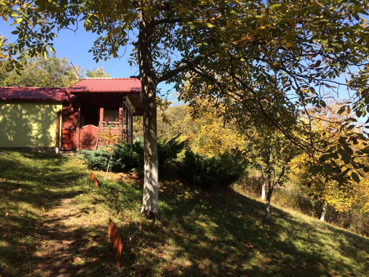 Holiday Home Nanin Konak 2 Vrdnik Luaran gambar