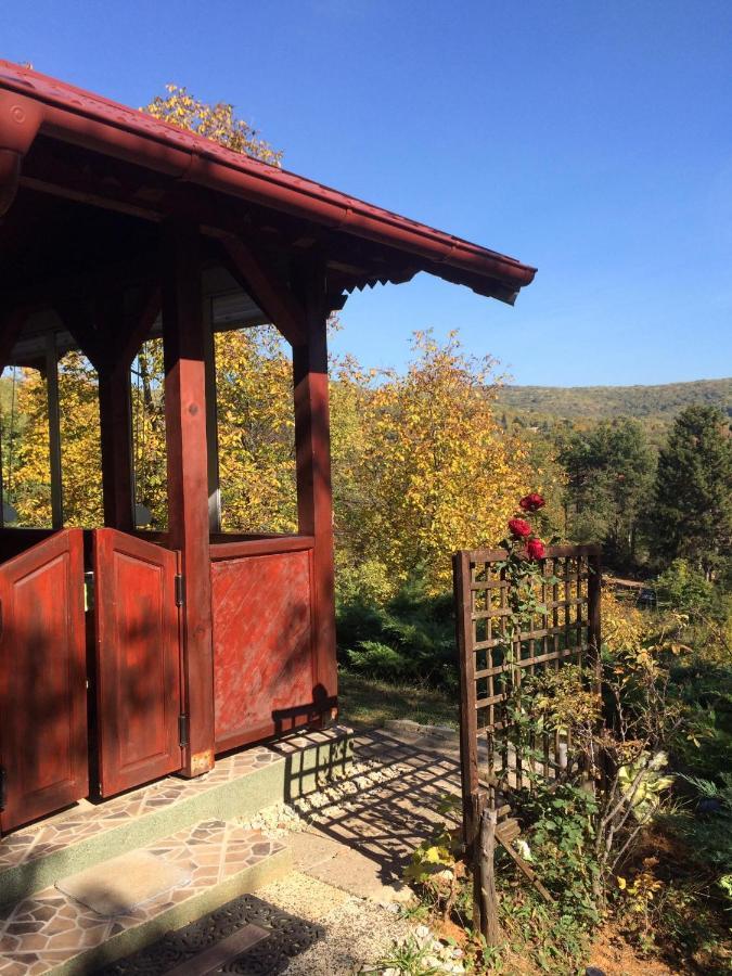 Holiday Home Nanin Konak 2 Vrdnik Luaran gambar