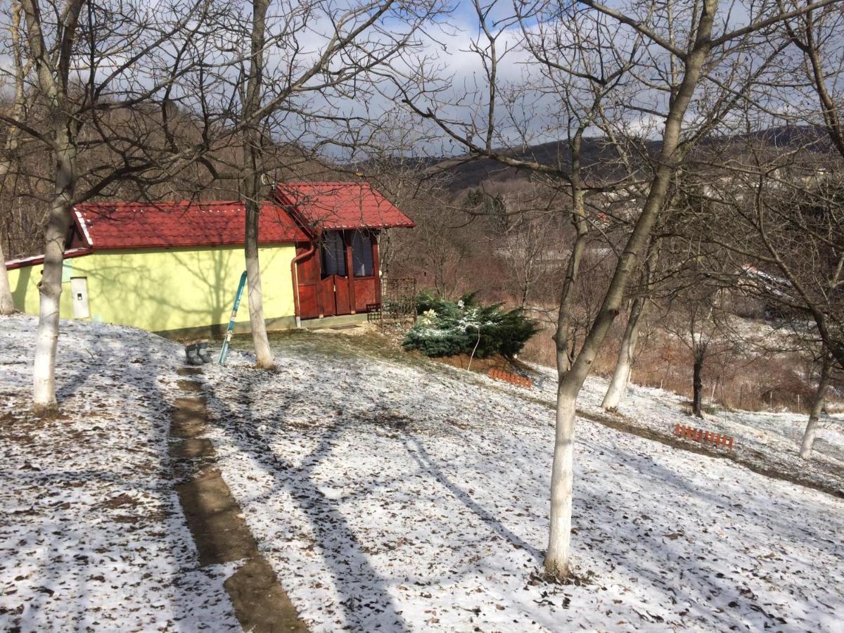 Holiday Home Nanin Konak 2 Vrdnik Luaran gambar