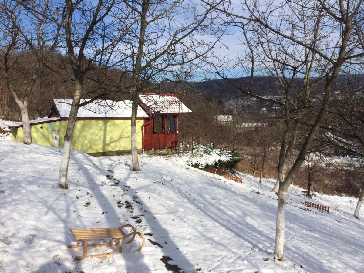 Holiday Home Nanin Konak 2 Vrdnik Luaran gambar