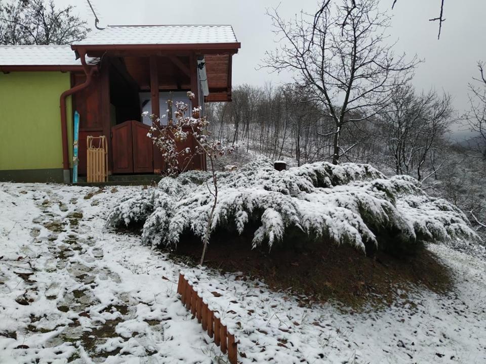 Holiday Home Nanin Konak 2 Vrdnik Luaran gambar