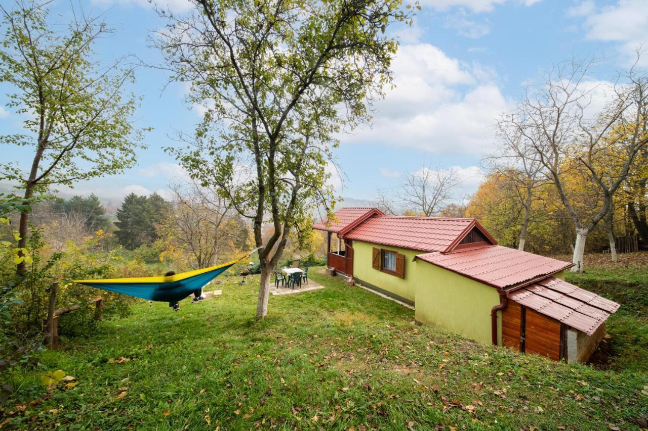 Holiday Home Nanin Konak 2 Vrdnik Luaran gambar
