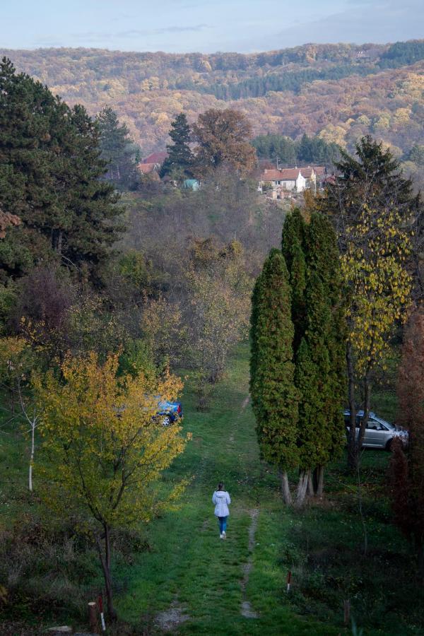 Holiday Home Nanin Konak 2 Vrdnik Luaran gambar