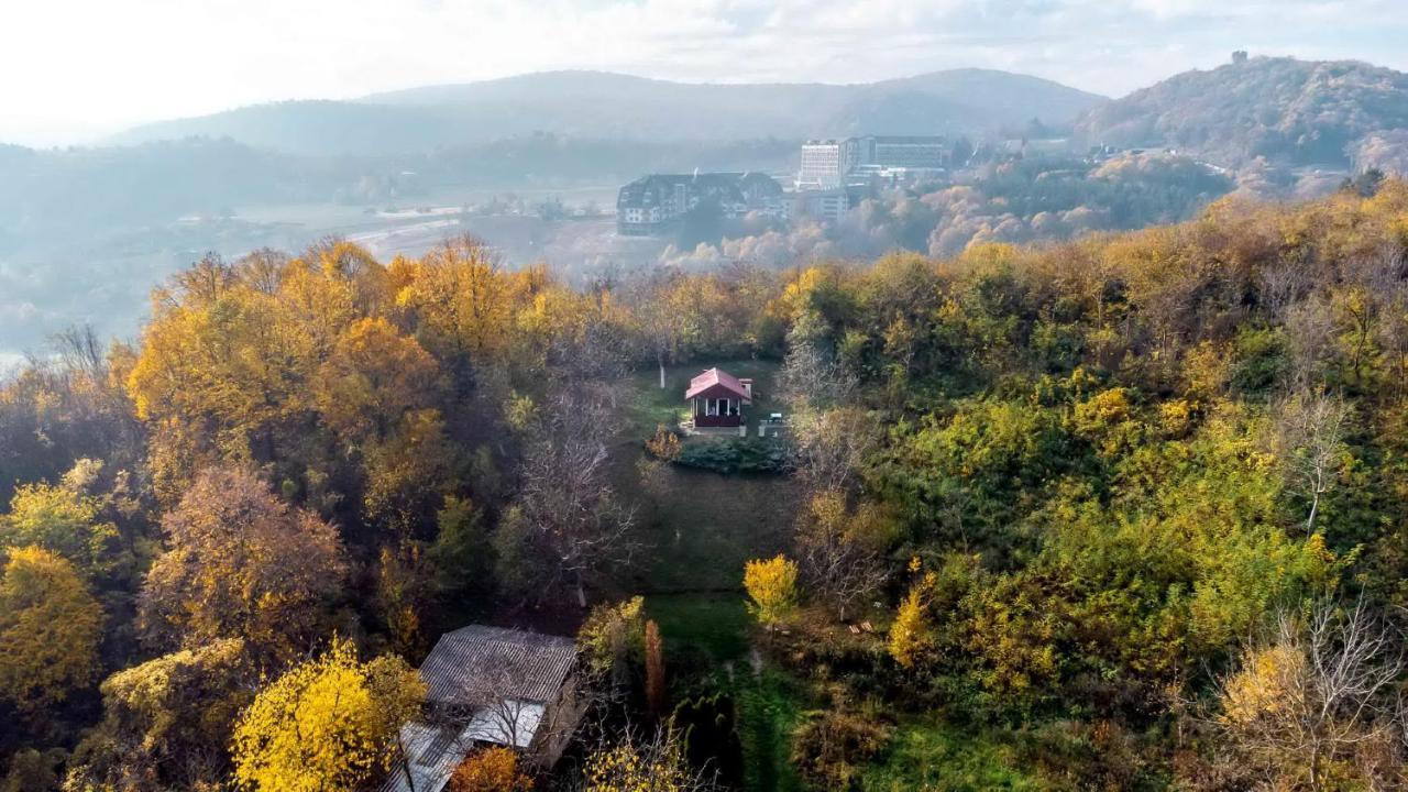 Holiday Home Nanin Konak 2 Vrdnik Luaran gambar