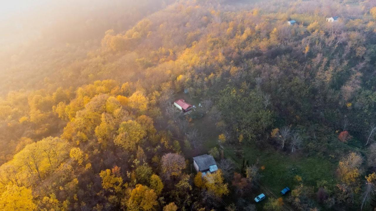 Holiday Home Nanin Konak 2 Vrdnik Luaran gambar