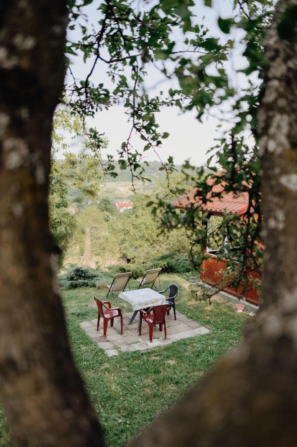 Holiday Home Nanin Konak 2 Vrdnik Luaran gambar