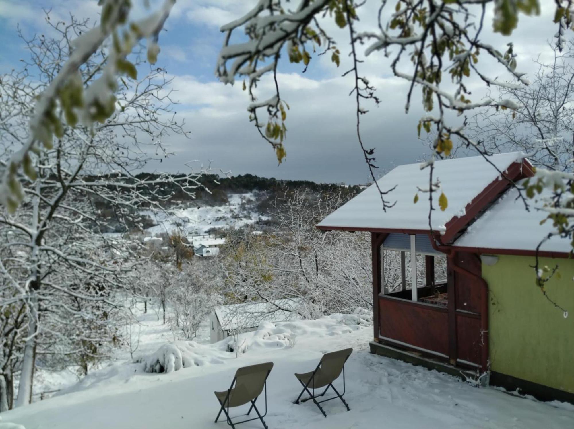 Holiday Home Nanin Konak 2 Vrdnik Luaran gambar