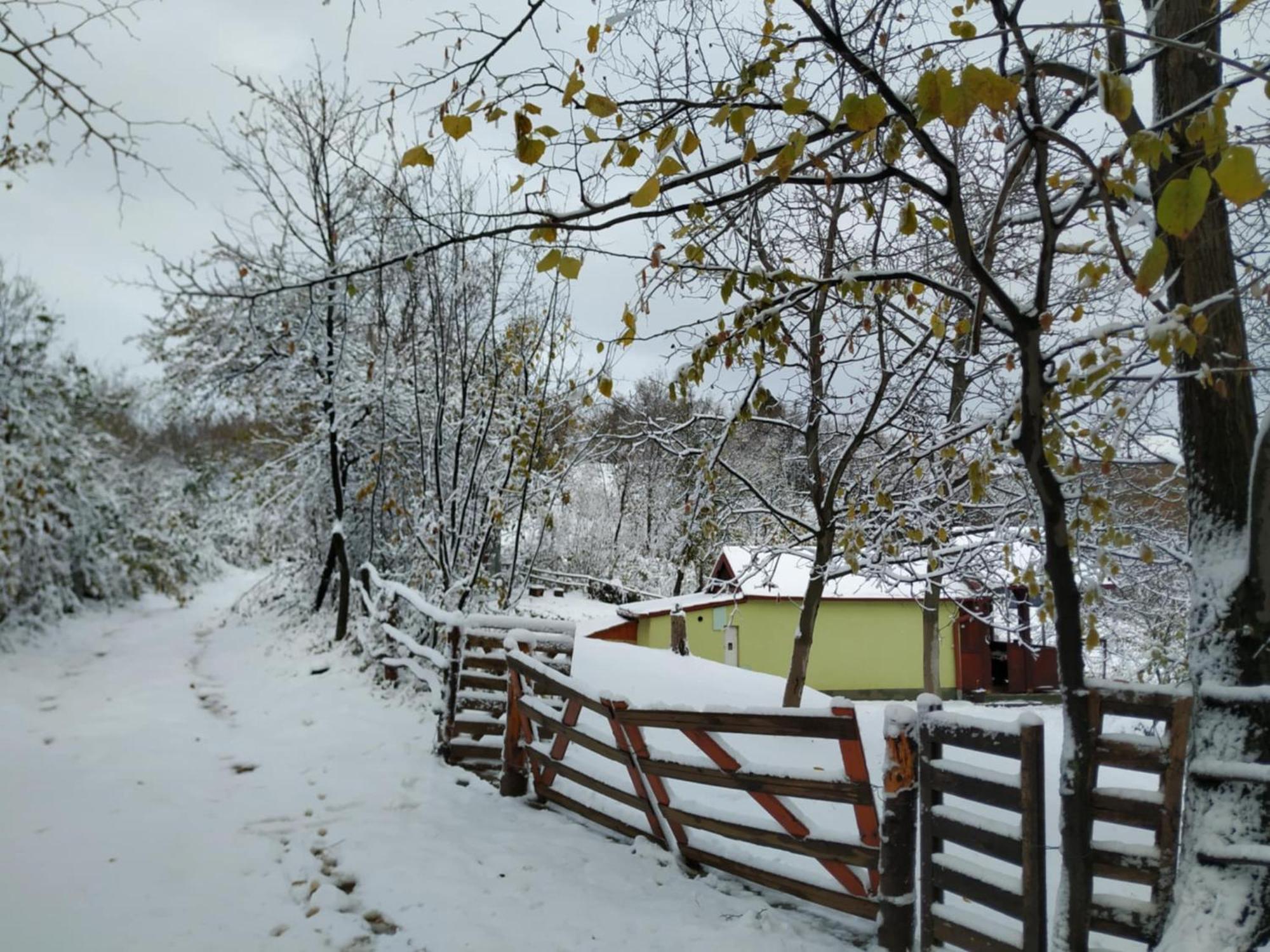 Holiday Home Nanin Konak 2 Vrdnik Luaran gambar