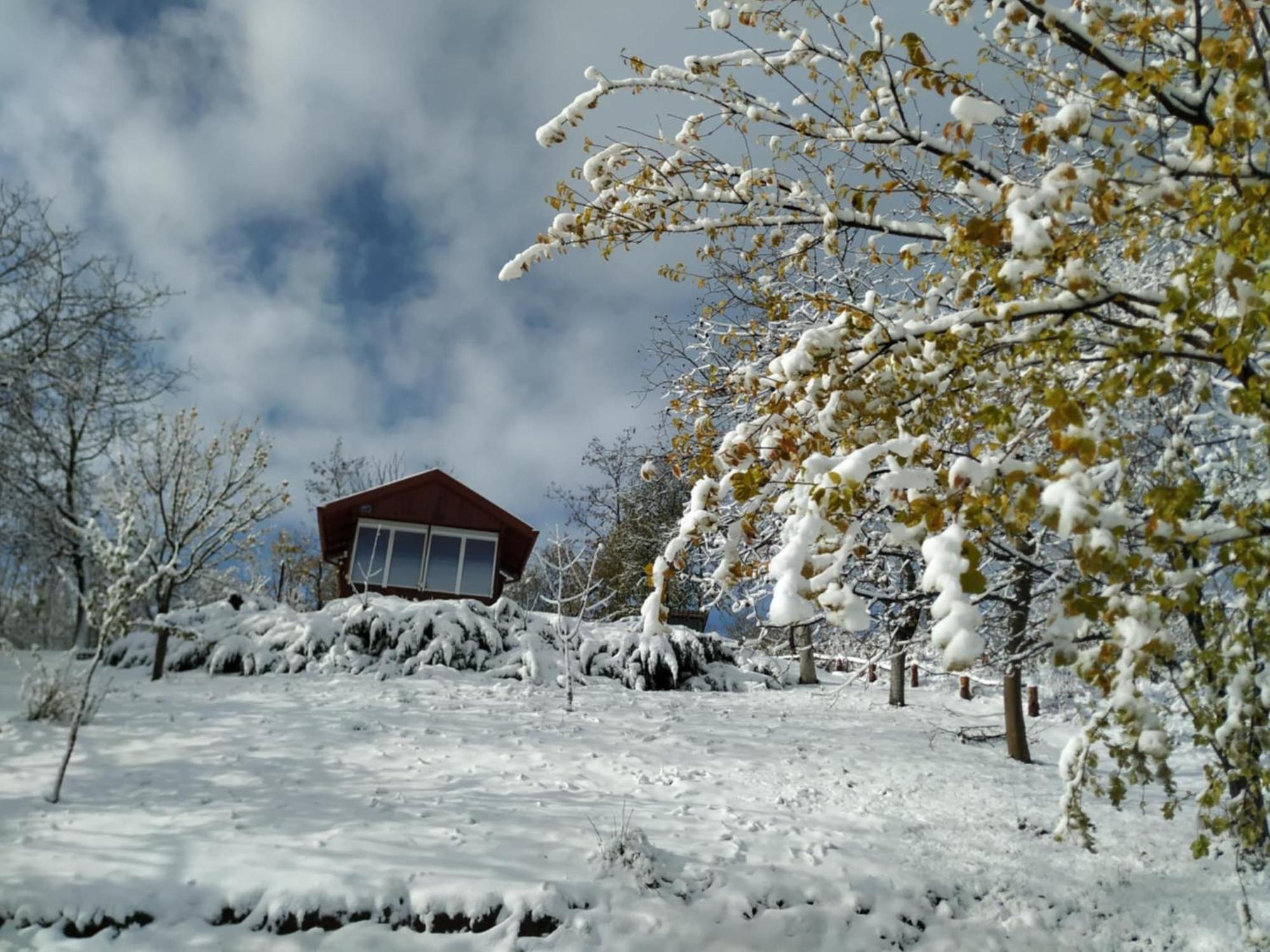 Holiday Home Nanin Konak 2 Vrdnik Luaran gambar