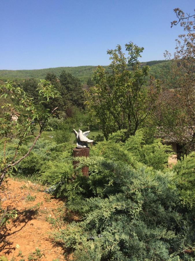 Holiday Home Nanin Konak 2 Vrdnik Luaran gambar