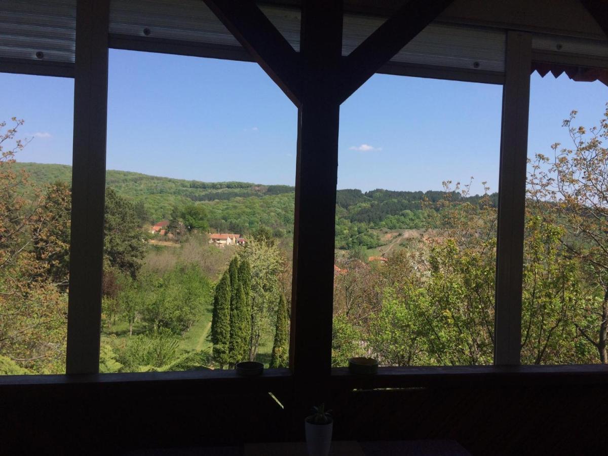 Holiday Home Nanin Konak 2 Vrdnik Luaran gambar